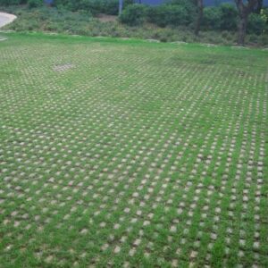 Compact Grass Blocks 500 x 300 x 100