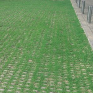 BG Grass Blocks 600 x 400 x 120