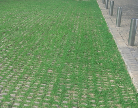 BG Grass Blocks 600 x 400 x 120